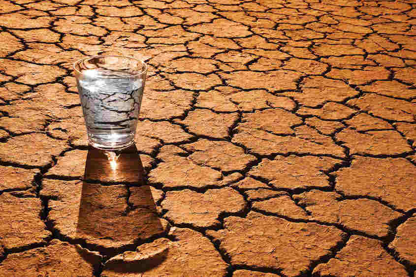 Wody na pustyni