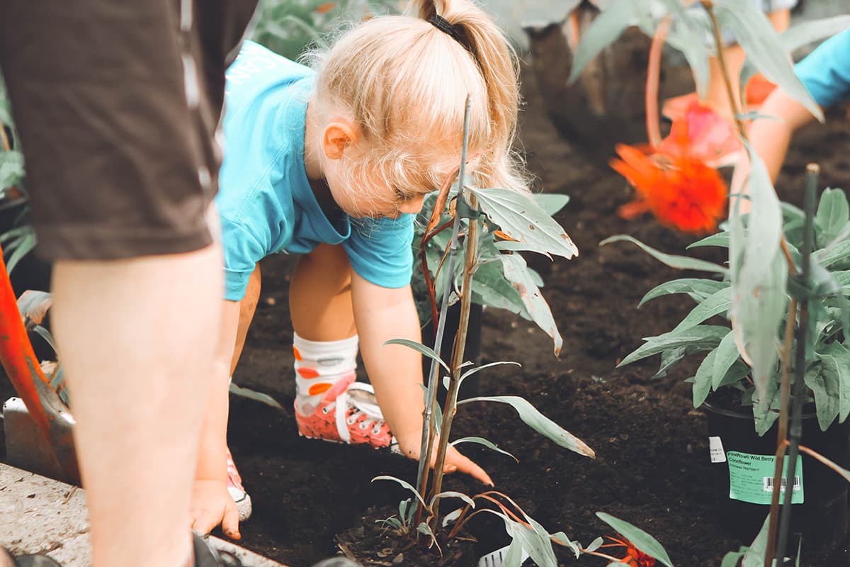Donation Single 1 anna earl Odhlx3 X0pI unsplash
