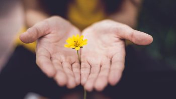 lina trochez ktPKyUs3Qjs unsplash