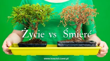 Czy życie pozagrobowe, po śmierci istnieje? - kosciol.czest.pl