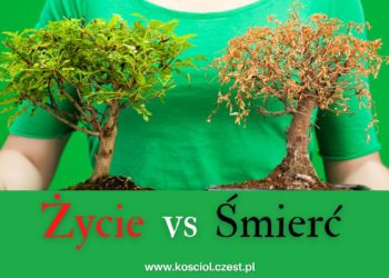 Religia a żywa społeczność z Ojcem - kosciol.czest.pl