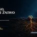 Jak Słowo Boże zapuszcza korzenie i zmienia życie? 10 Jak Słowo Boże zapuszcza korzenie i zmienia życie? - Piotr Wosinek - kosciol.czest.pl