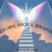 Angels and Their Meaning in the Bible