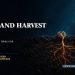 How the Word of God Takes Root and Changes Your Life
