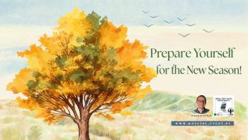 Get Ready for a New Season