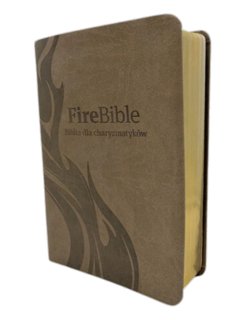 Reprezentatywne wydanie: FireBible — Biblia dla charyzmatyków. Źródło: Kościół Zielonoświątkowy w RP / Wydawnictwo Mądra Książka