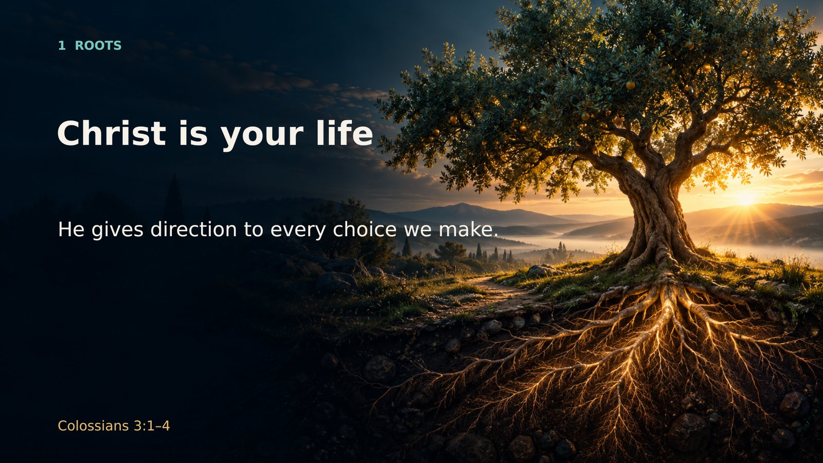 Roots — Christ is your life