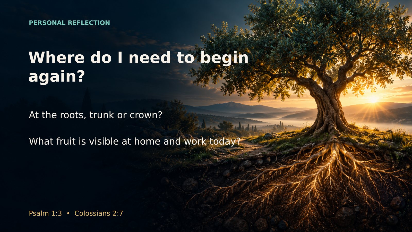 Where do I need to begin again — at the roots, trunk or crown?