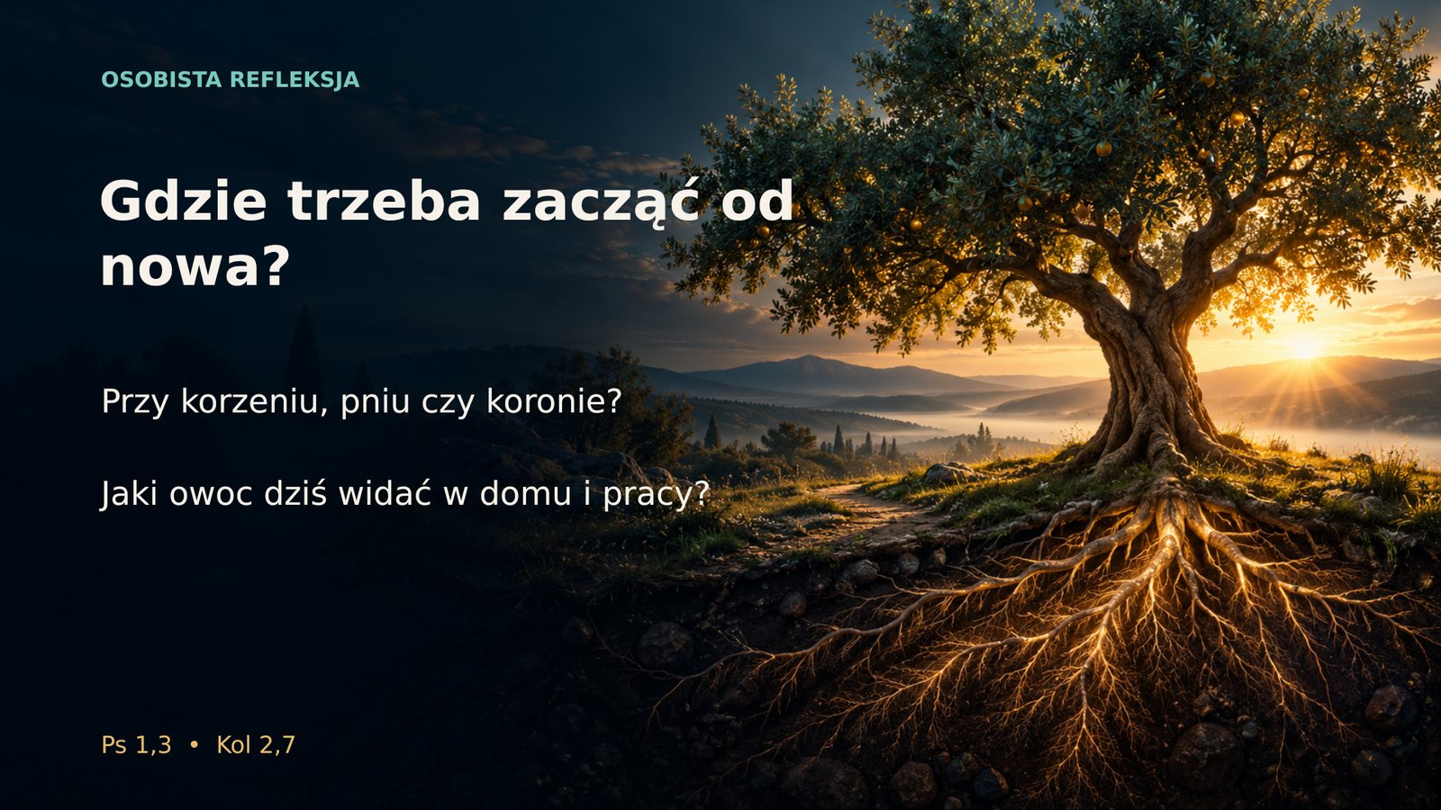 Gdzie trzeba zacząć od nowa — przy korzeniu, pniu czy koronie?